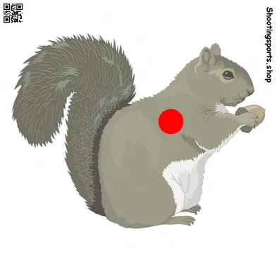 Squirrel Target - Paper 17cm x 17cm
