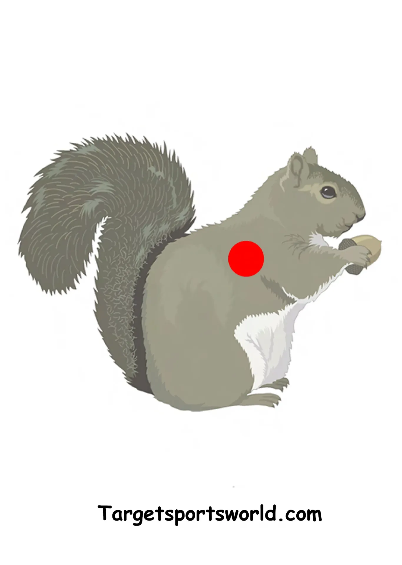 [SSSTGT0020D] Squirrel Target - Paper A4